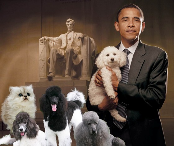 Practice Work: Presidential Puppies