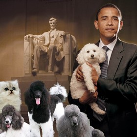 Practice Work: Presidential Puppies